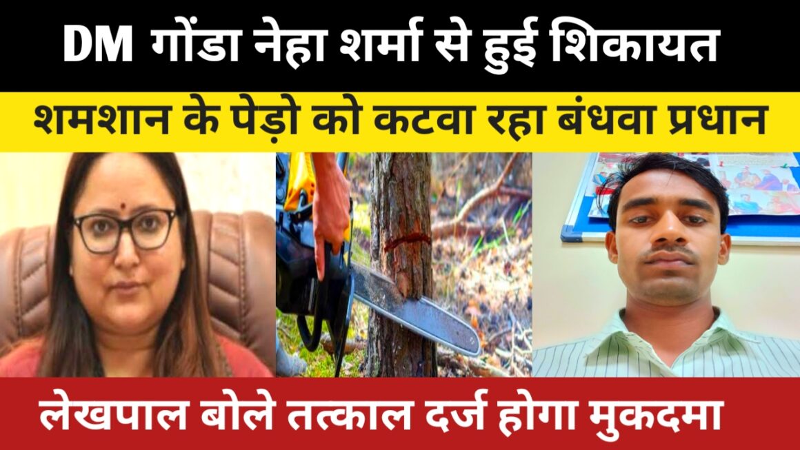 अब शमसान के भूमि पर लगे पेड़ों पर टिकी है ग्राम प्रधान बंधवा की निगाहें