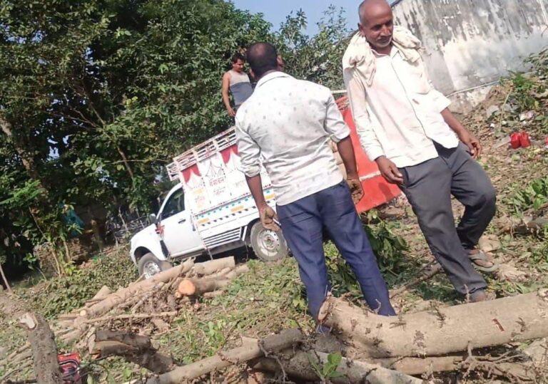 अवैध पेंड़ कटान पर प्रशासन ने साधा चुप्पी, वन विभाग की कार्यशैली पर उठा सवाल