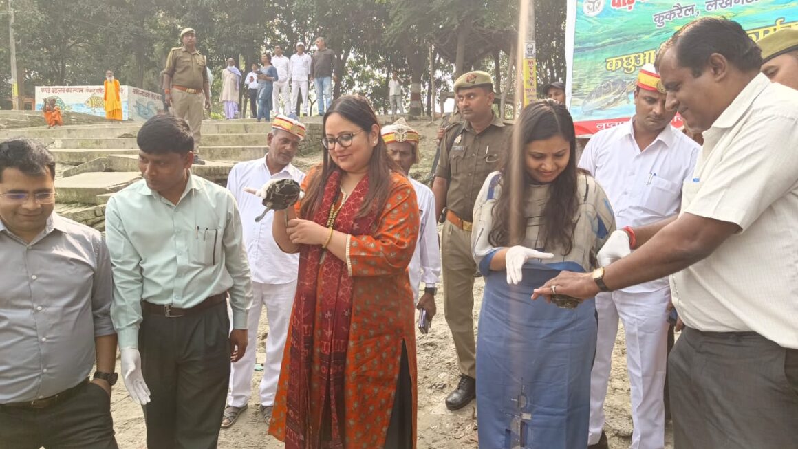 सरयू नदी करनैलगंज में किया गया कछुओं की नौ प्रजातियों का विमोचन