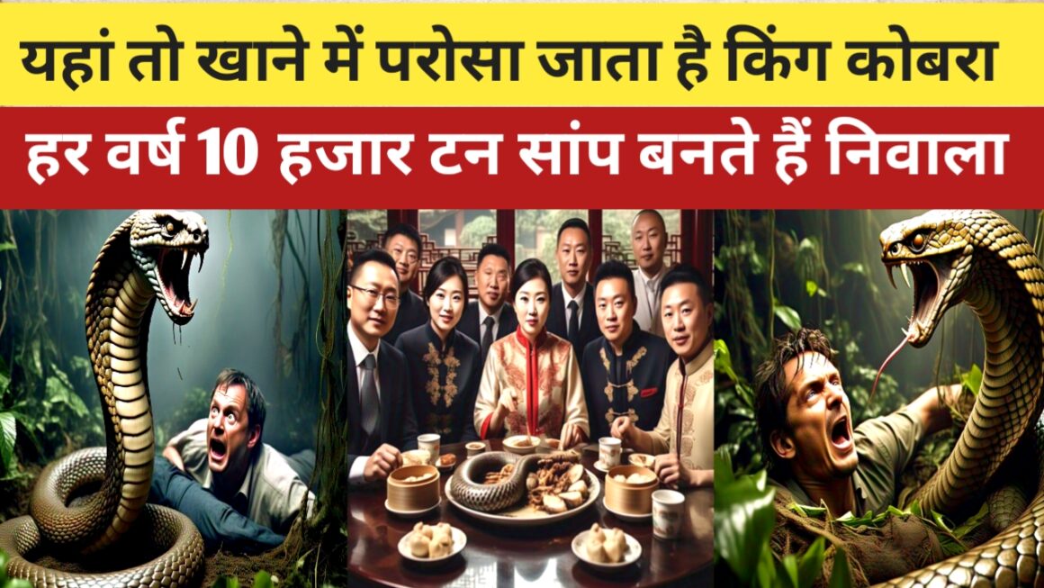 यहां तो खाने में परोसा जाता है खतरनाक सर्प किंग कोबरा