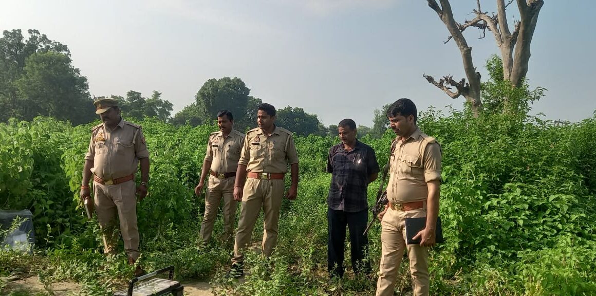 नवाबगंज के झाड़ियों मे मिला ई-रिक्शा चालक का शव, परिजनों ने जताया हत्या की आशंका, दी तहरीर