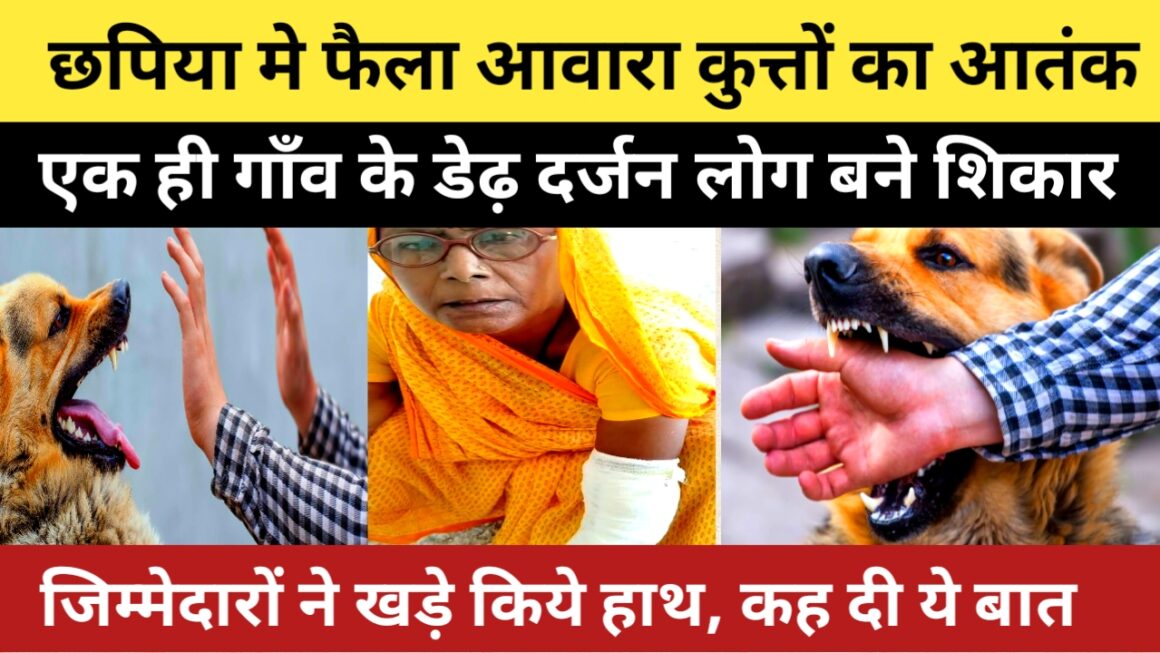 छपिया मे फैला अवारा कुत्तो का आतंक, एक सप्ताह के अन्दर डेढ दर्जन से अधिक लोगो को काटकर किया घायल