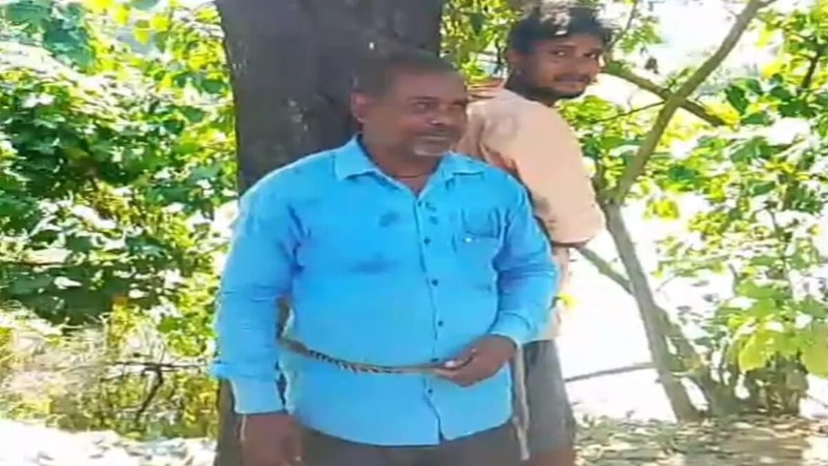अघोषित विद्युत कटौती ट्रिपिंग से परेशान ग्रामीणो ने लाइनमैन को पेड से बाधा